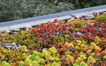 the cost of Straid green roof installation
